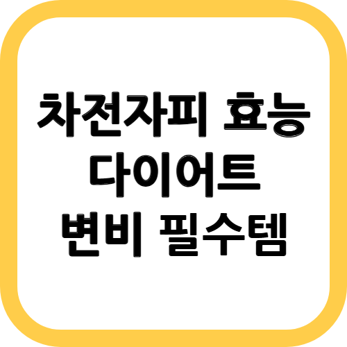차전자피 효능