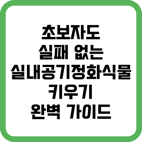 초보자도 실패 없는 실내공기정화식물 키우기 완벽 가이드
