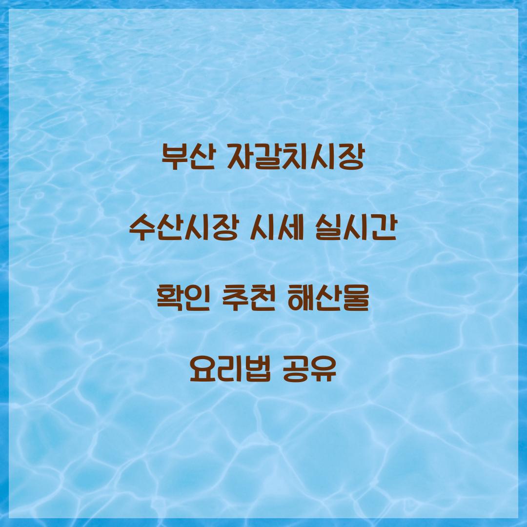 부산 자갈치시장 수산시장 시세 실시간 확인