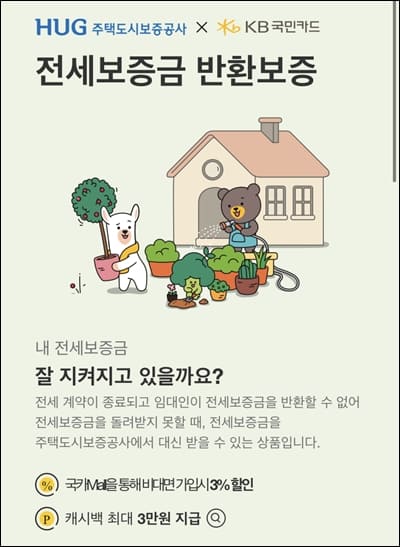 국민카드 화면이미지