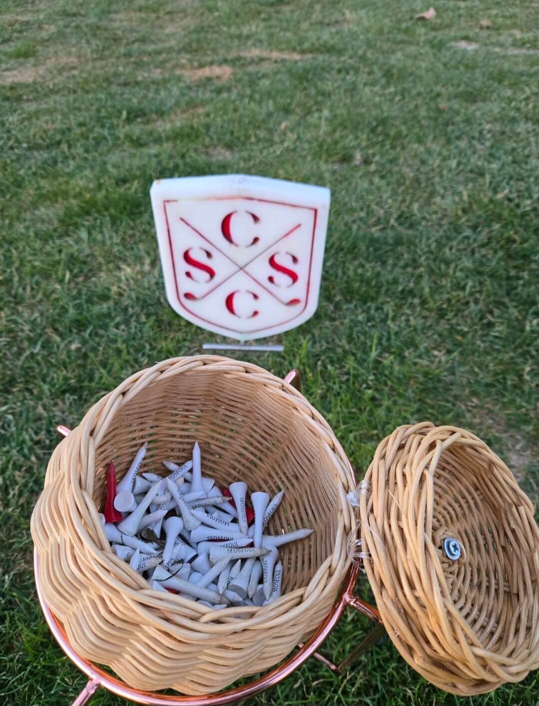 티잉그라운드 위 숏티 바구니