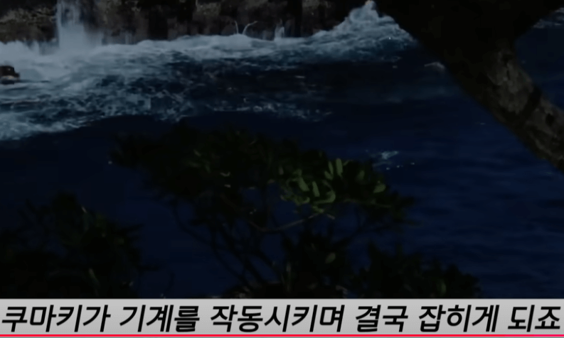 진정한 자유를 찾는 것1