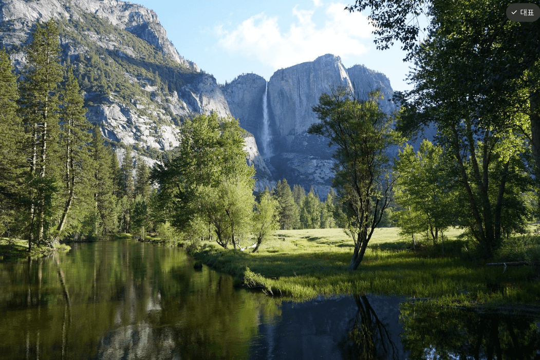 요세미티 국립공원 안의 산과 나무가 보이는 사진