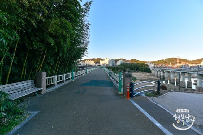 울산 삼호교 역사