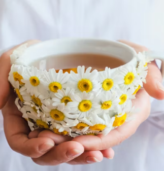 혈액순환에 좋은 차