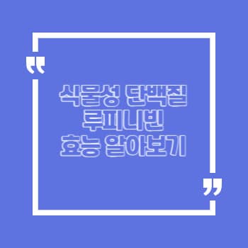 루피니빈 효능