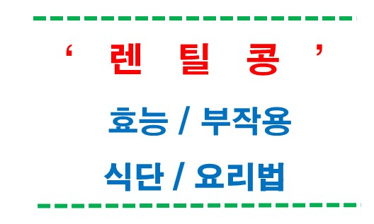 렌틸콩 효능, 부작용, 식단, 통조림 먹는법, 삶는 법