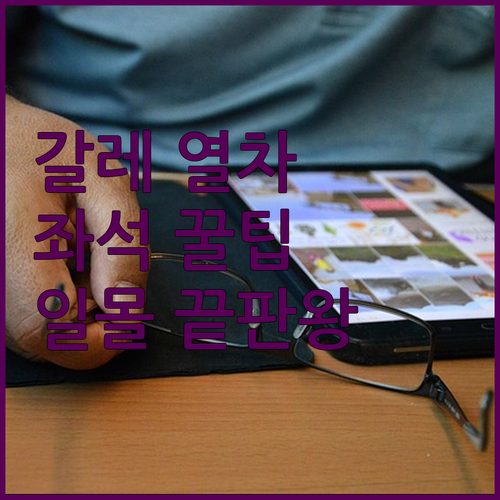 스리랑카 콜롬보 갈레 해안 열차 명당..