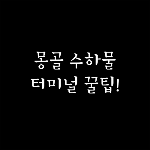 에어로 몽골리아 인천공항 수하물 규정..
