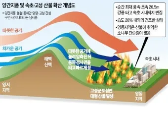 봄철 강풍 꽃가루 농도 알레르기 마스크 관리_6