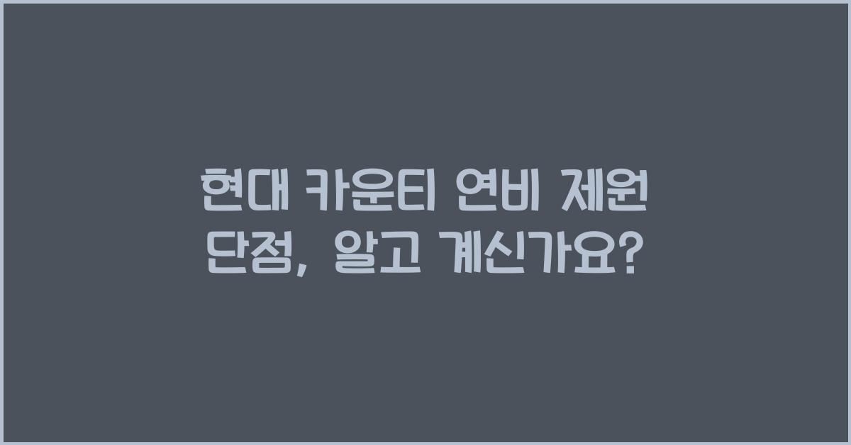 현대 카운티 연비 제원 단점