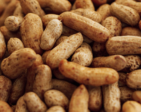 땅콩 효능 : 심혈관