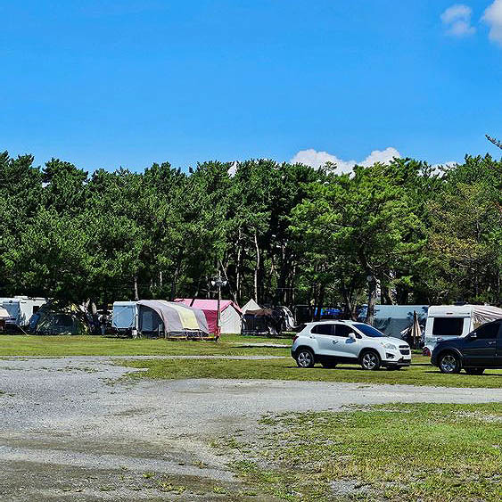 태안군 몽산포오션캠핑장 소개