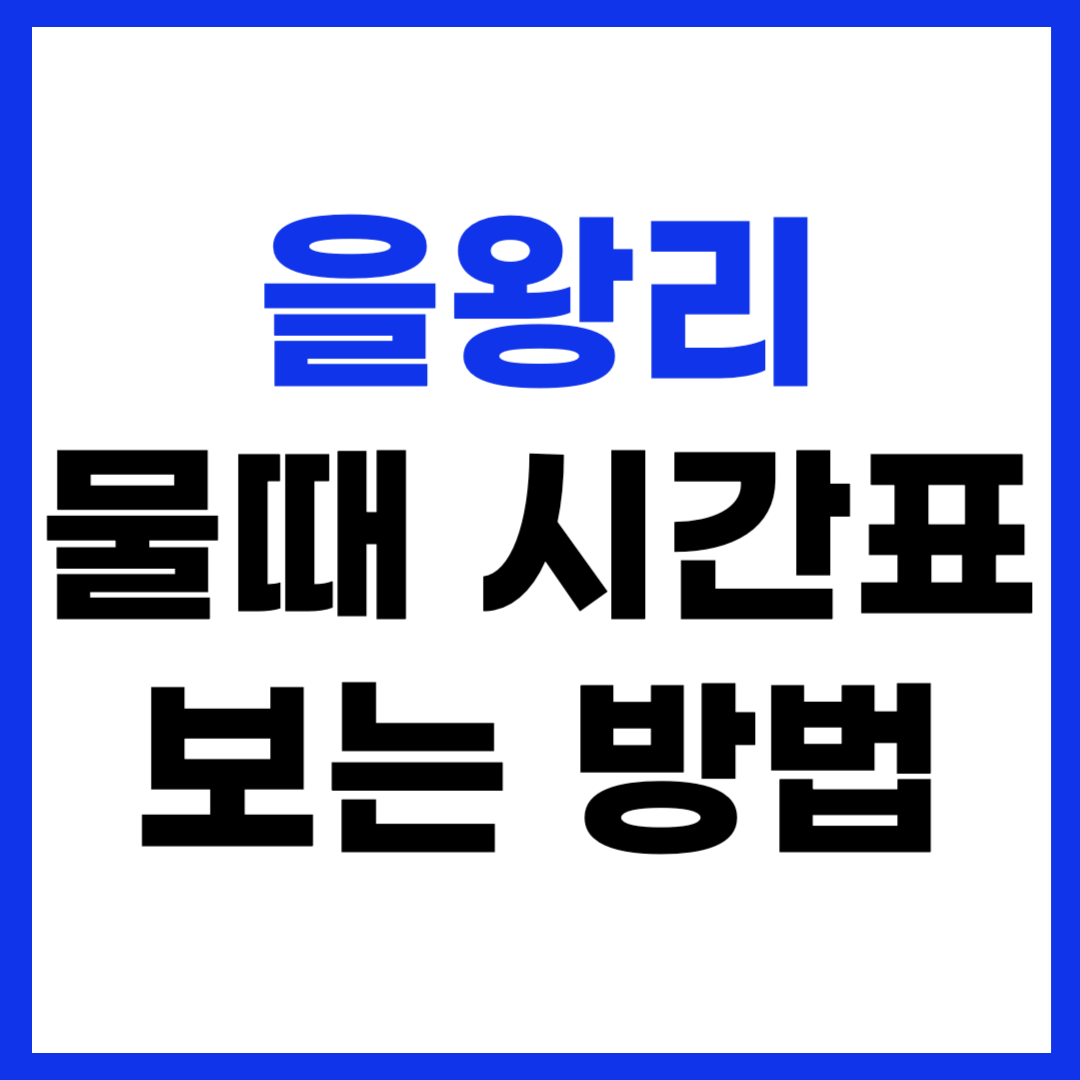 을왕리 물때 시간표 보는 방법 갯벌체험 해루질