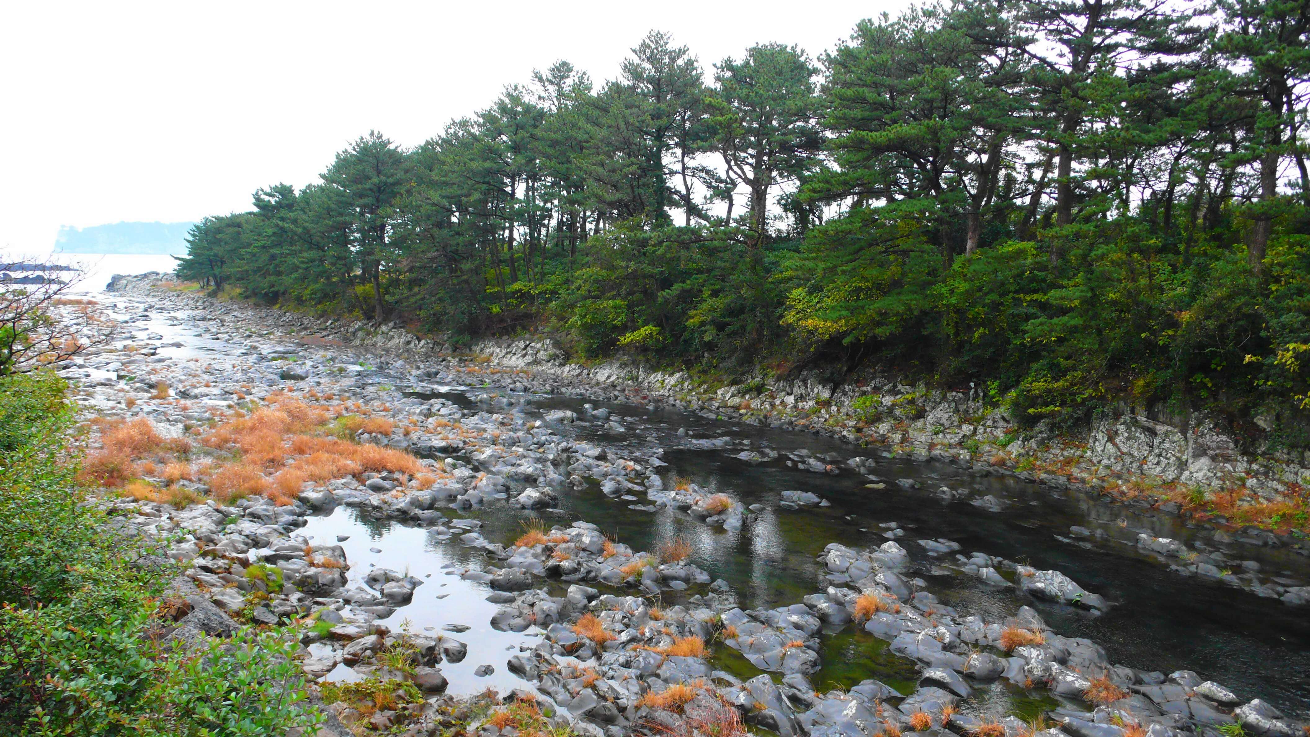 올레길 7코스 vs 10코스, 최고의 선택은? 🥾