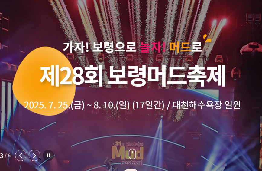 2025 보령머드축제 무료입장법 (일정,입장료,15만원혜택)총정리