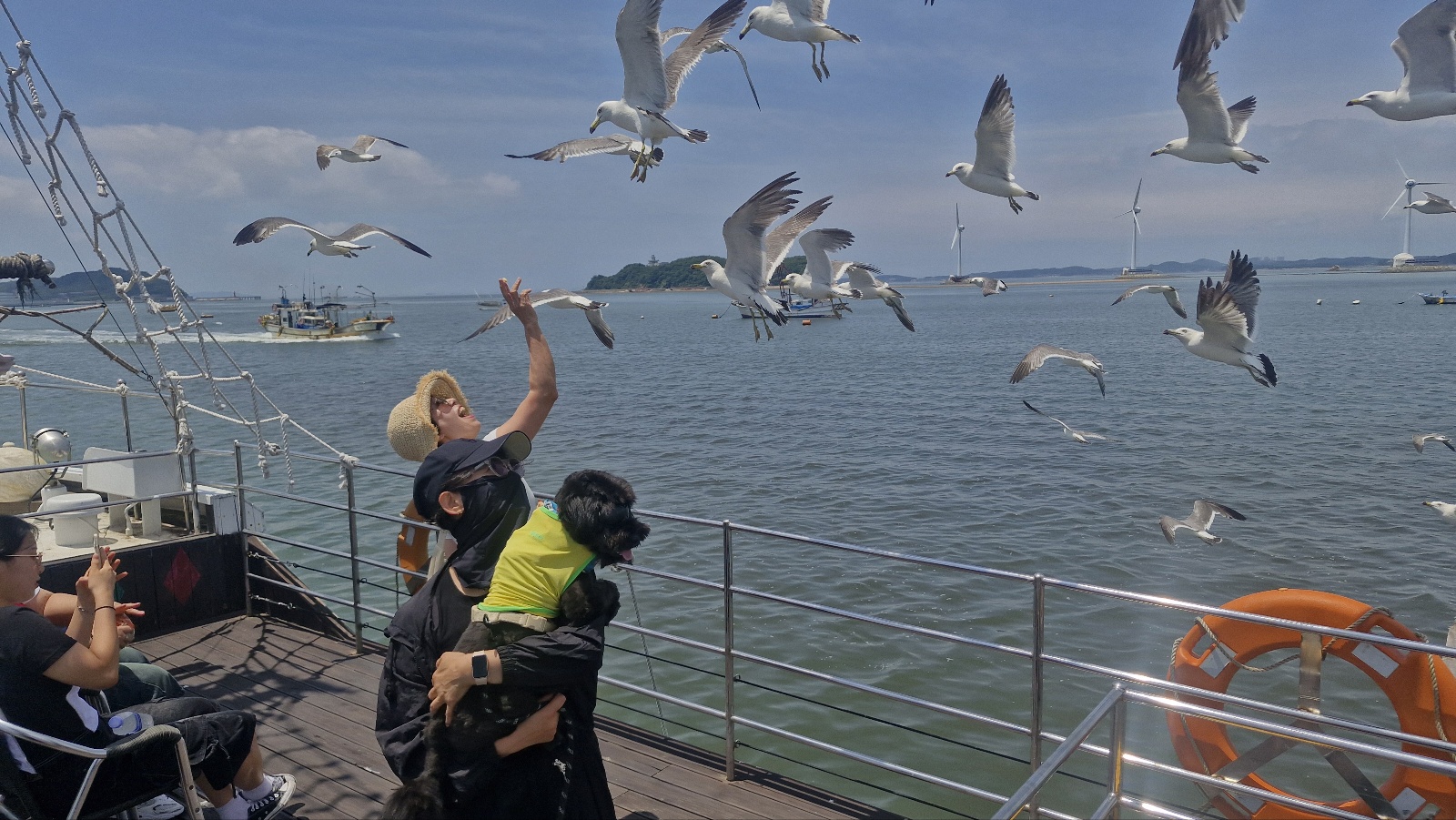 자연식 vs 화식&amp;#44; 털빠짐 관리 적합성 비교 (자연식&amp;#44; 화식&amp;#44; 영양)