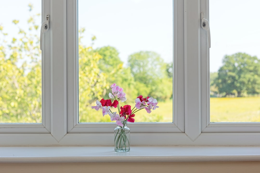 Window.