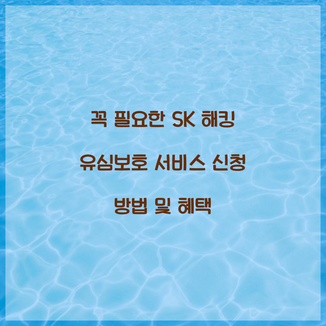 꼭 필요한 SK 해킹 유심보호 서비스