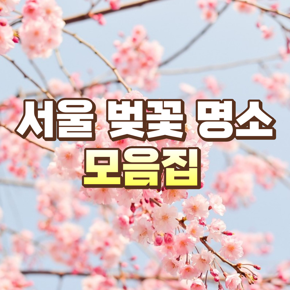 벚꽃길