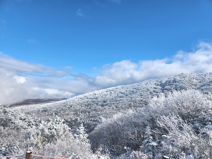 한라산 등반 코스 한라산 날씨 한라산 등반예약