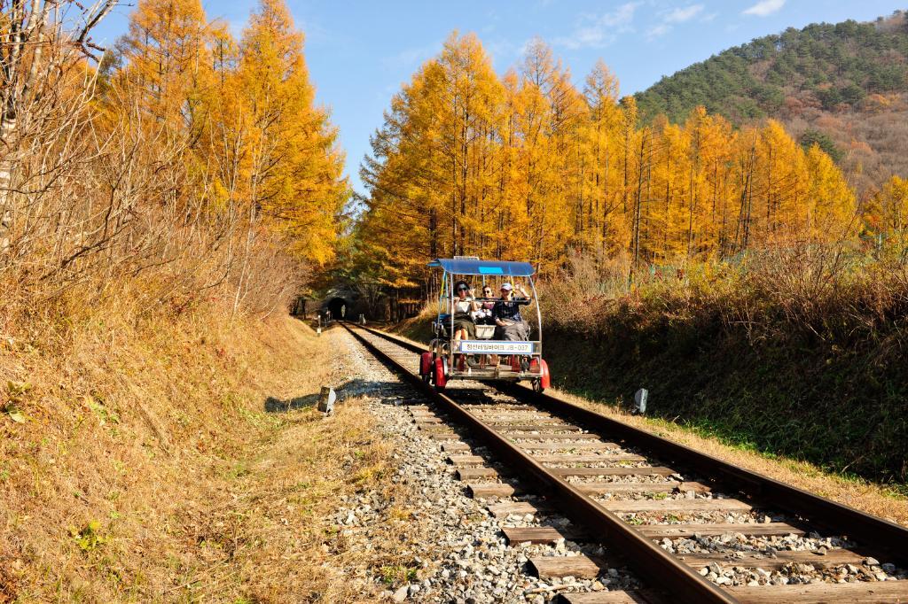 정선 레일바이크