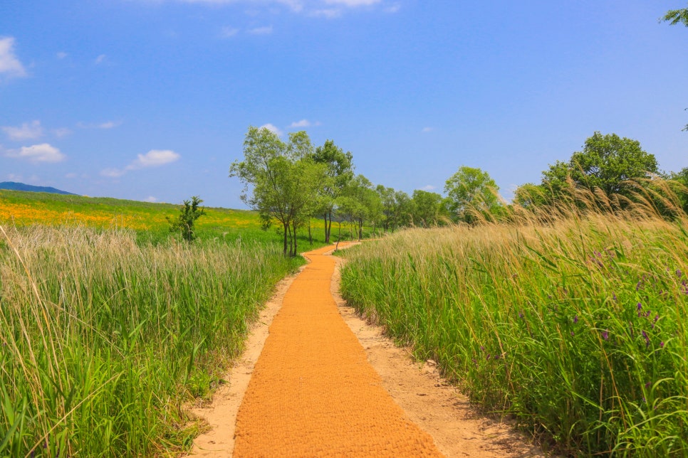 밀양 초동연가길