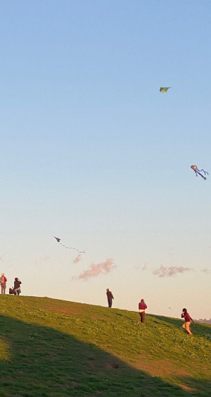 스마트폰 배경화면 잠금화면 자연 풍경 무료 다운로드