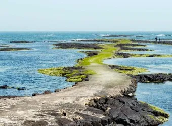 4월 제주도 가볼만한곳 2025년 10선_2