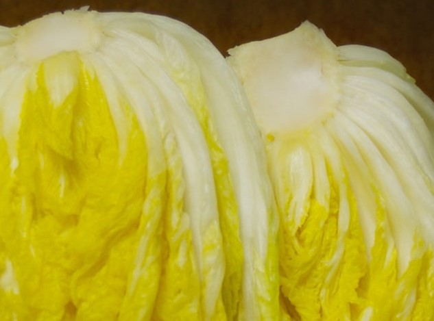 절임배추 파는곳