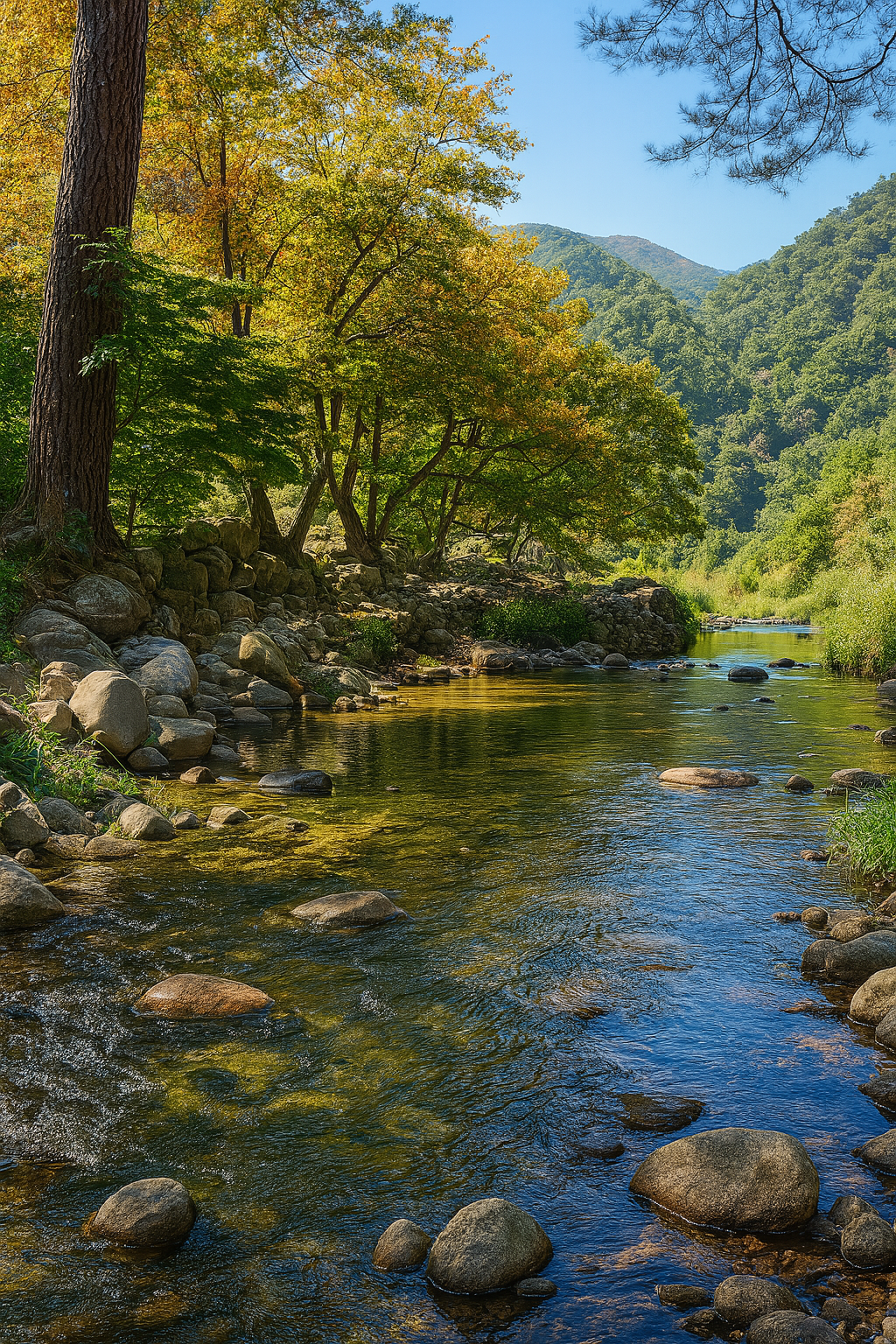 경북 영양 수비계곡