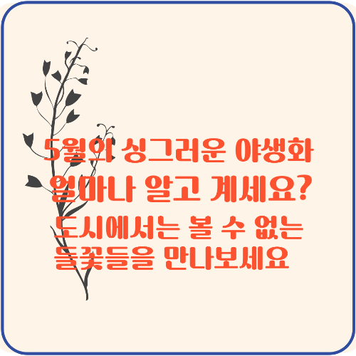 5월, 싱그러움 가득한 들꽃 야생화 만나기 한국의 야생화 들판에 화려함과 색을 더하다