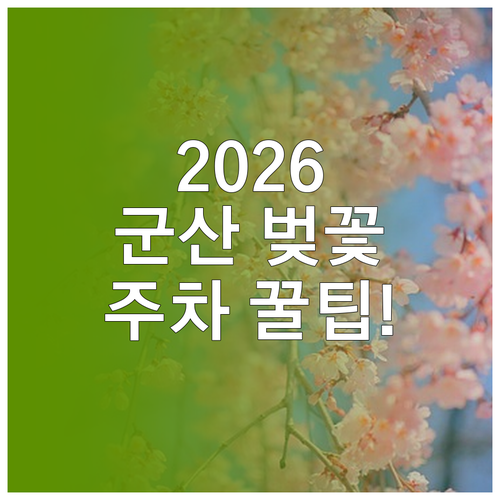2026년 군산 벚꽃 개화 현황 및 ..