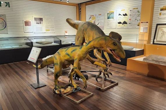 경북대학교 자연사박물관