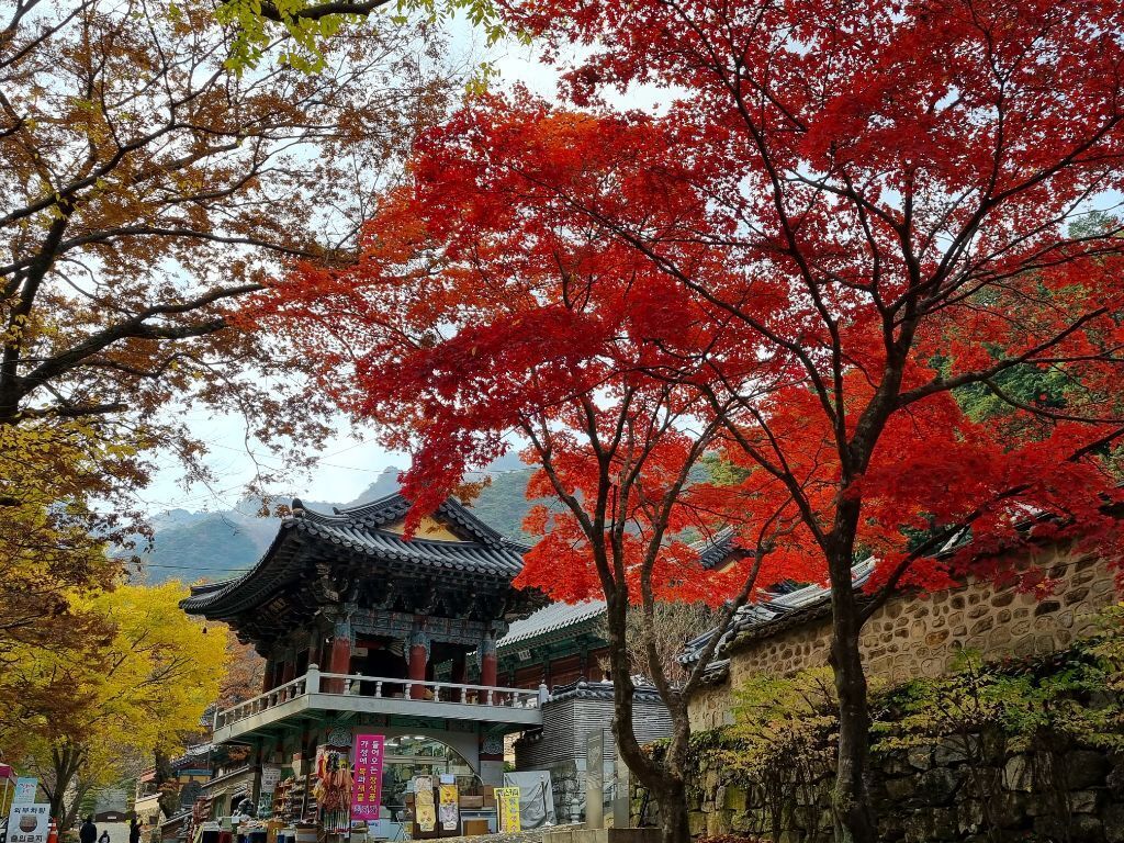 계룡산 동학사2