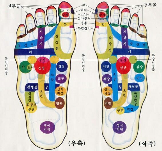 발바닥 혈자리 지압점 그림, 마사지 방법 발가락 혈자리