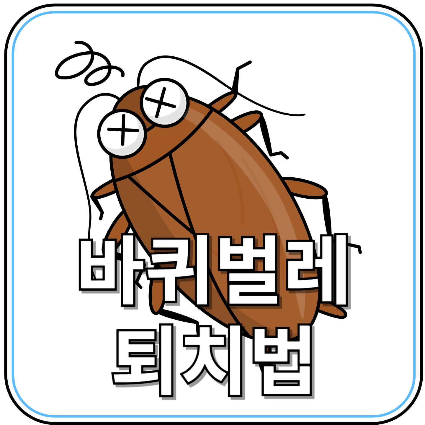 바퀴벌레 퇴치법 완전 정복