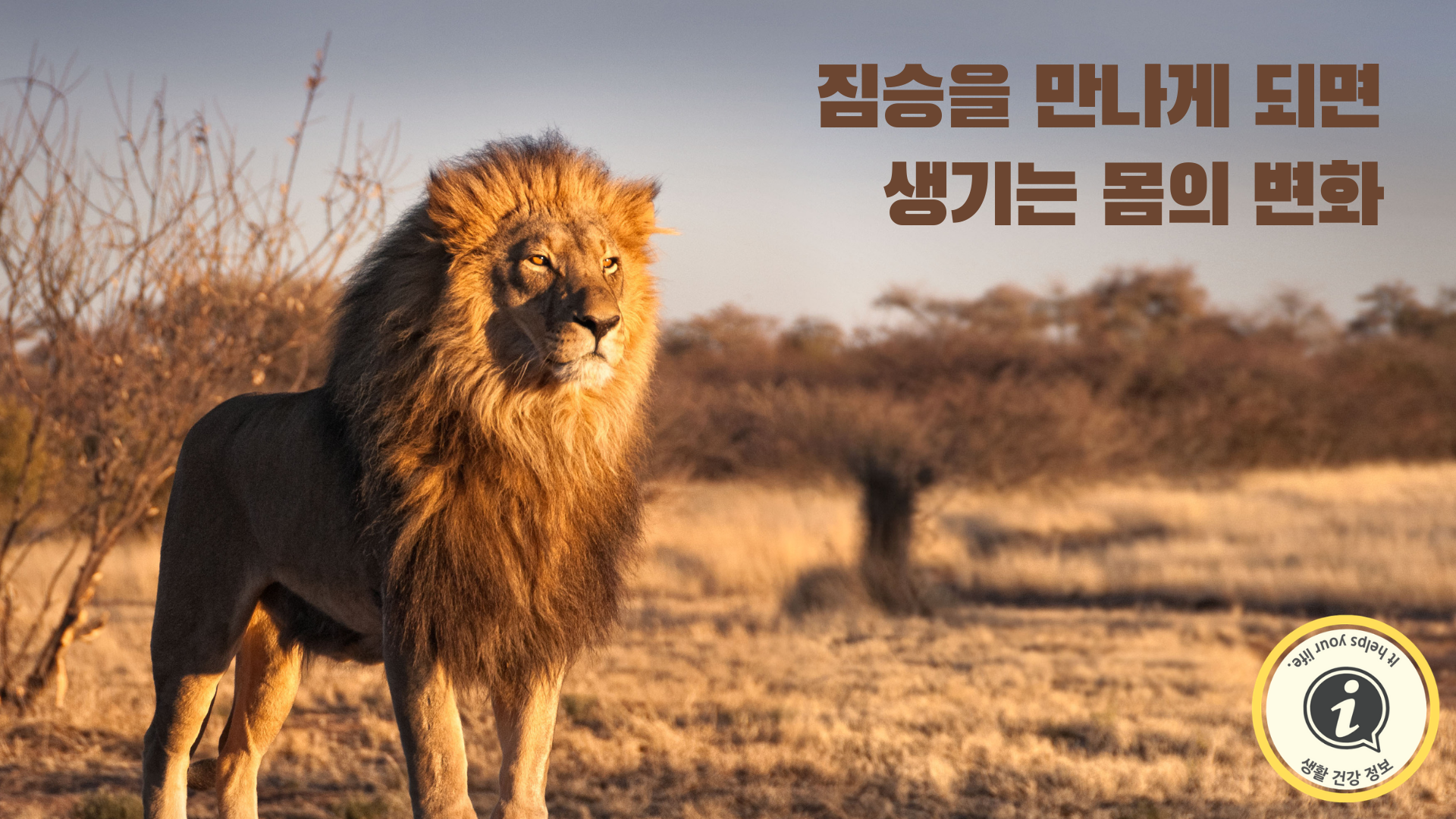 짐승을 만나게 되면 생기는 몸의 변화 짐승을 만나게 되면 생기는 몸의 변화