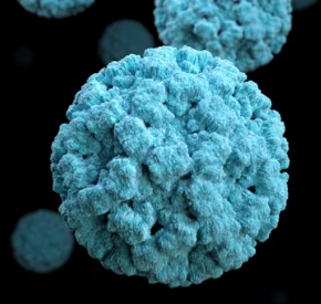 대상포진 초기증상 원인 예방 관리법