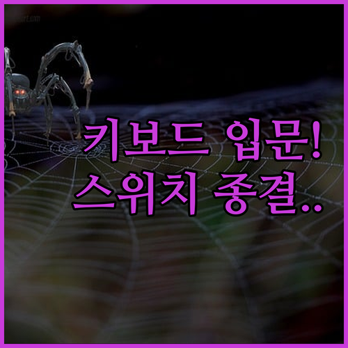 기계식 키보드 입문 가이드 용도별 스..