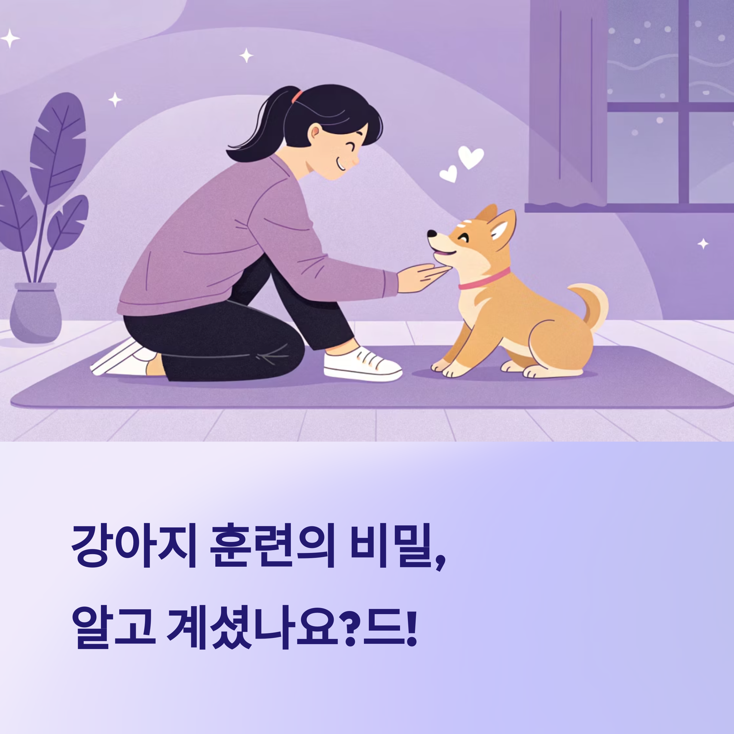 초보 반려인을 위한 강아지 훈련 핵심 가이드