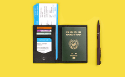 여권 재발급 온라인 신청, 준비물, 비용, 기관