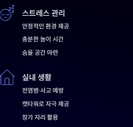 고양이 수명은 몇 년