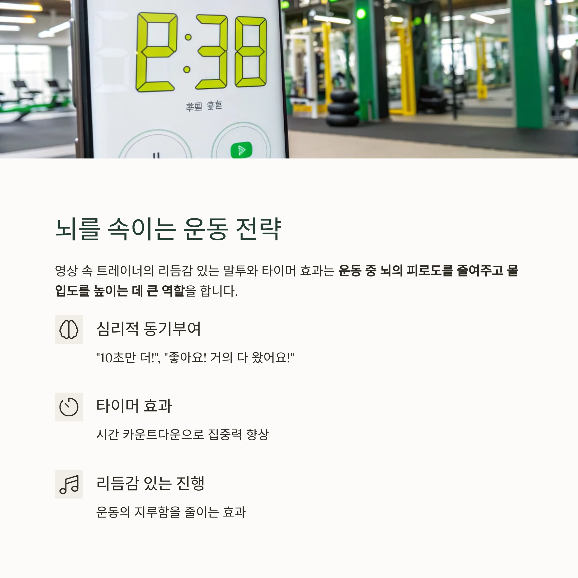 홈트레이닝
