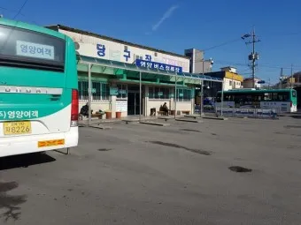 영양 시외버스터미널 시간표 예매 요금_19