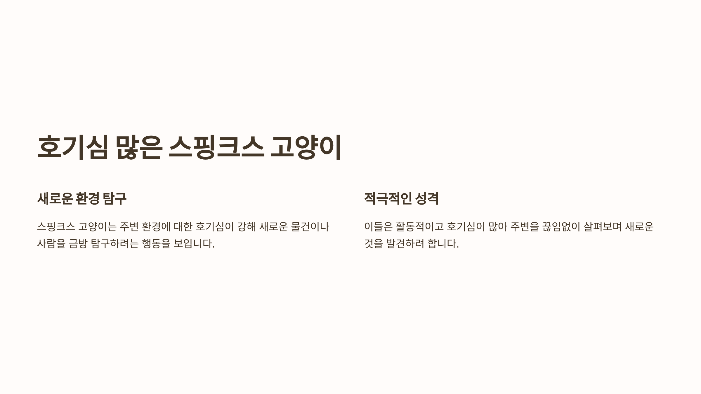 스핑크스 고양이 사진입니다.