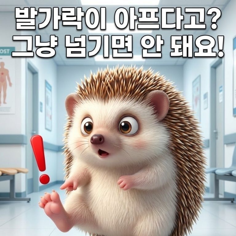 내성발톱 증상 알리는 도치씨 캐릭터