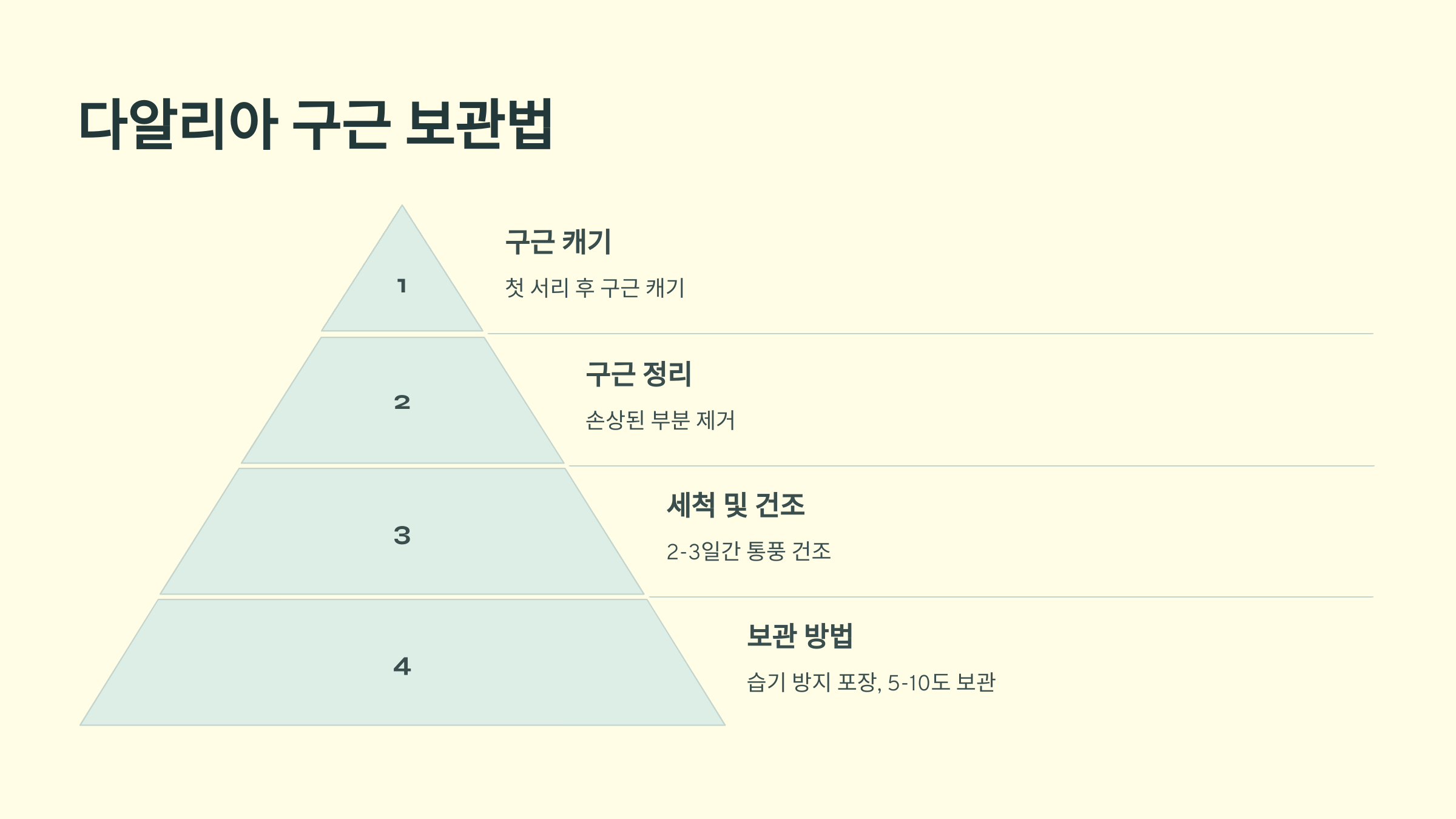 다알리아꽃 사진입니다.