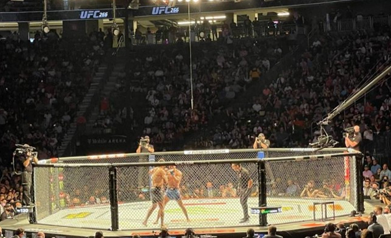 UFC 317: 톱리아 vs 올리베이라 경기