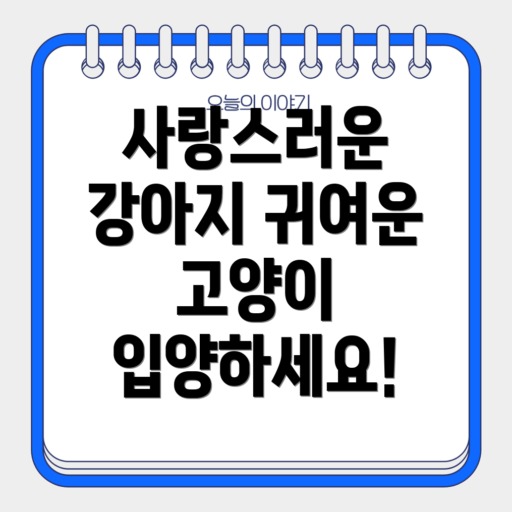 강아지와 고양이 입양